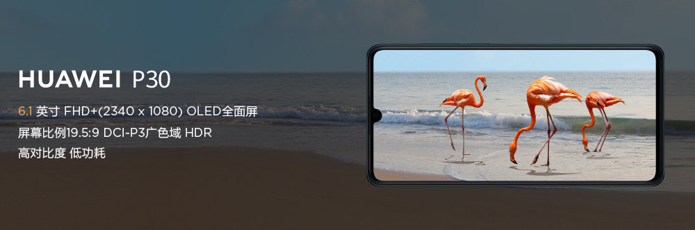 锁定现任Android机皇？HUAWEI 华为 国内发布P30 / P30 Pro 旗舰手机