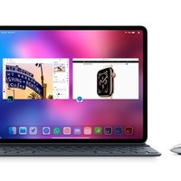 平板生产力大提升？iOS 13 拟为 iPad 加入鼠标支持