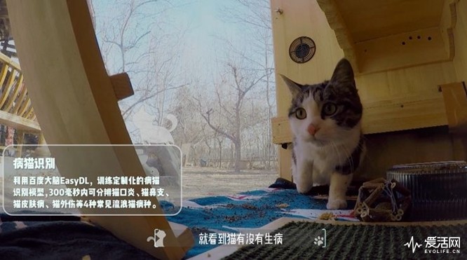 这是一份来自铲屎官的爱，百度工程师为流浪猫打造智能豪宅