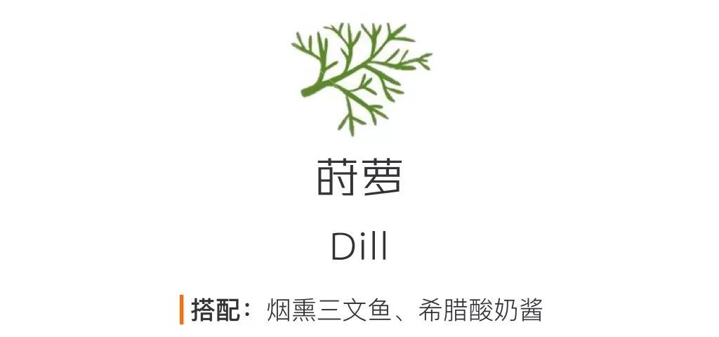 西餐常见调料介绍——有些人表面上是吃货，背地里连罗勒牛至迷迭香都分不清