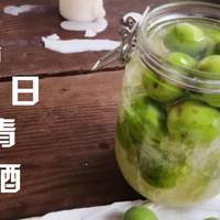 周末食光 篇二：梅子酒的做法