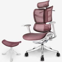 迩高迈思（Ergomax） Evolution人体工学电脑椅网椅家用办公椅子电竞椅游戏椅 咖啡色带畅躺架