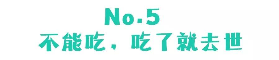 吃吐了5人，我们终于找到了啤酒与粽子的绝配