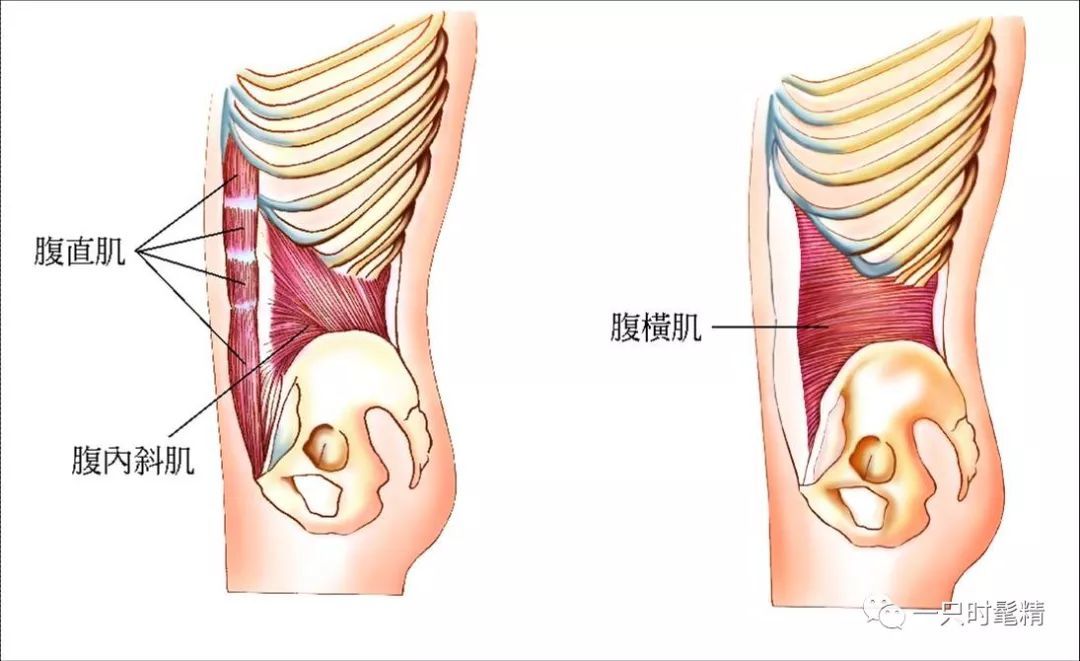 瘦身塑形+显瘦穿搭，完美应对年后体重上涨问题！（上）