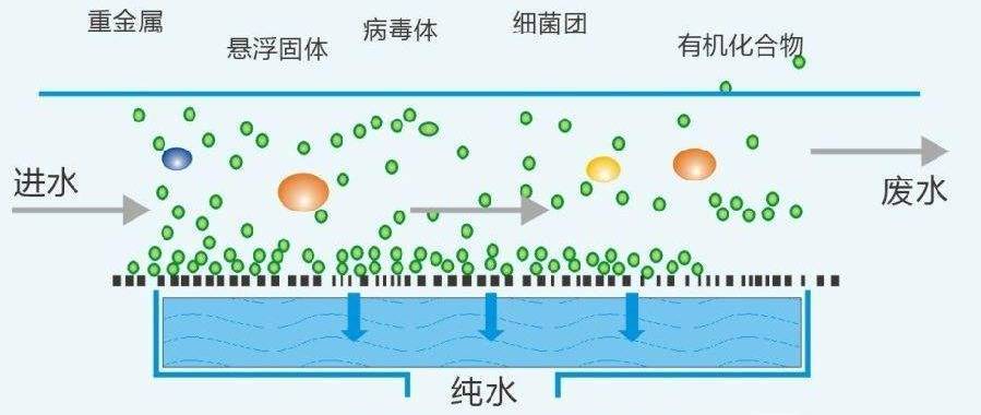 双11好物推荐 与健康喝水息息相关的十款产品