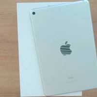 2019年苹果新品谁最香？iPad mini 5 上手测评！