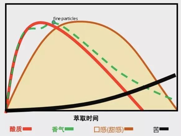 影响咖啡冲煮的关键因素：萃取时间