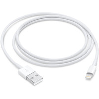 Apple Lightning/闪电转 USB 连接线 (1 米)