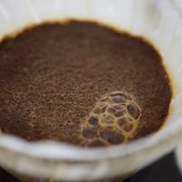 【手冲技巧】影响咖啡冲煮的关键因素：闷蒸
