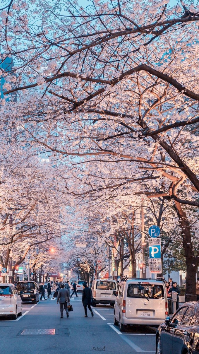 手机壁纸高清图片手机壁纸大全锁屏壁纸壁纸app精选壁纸