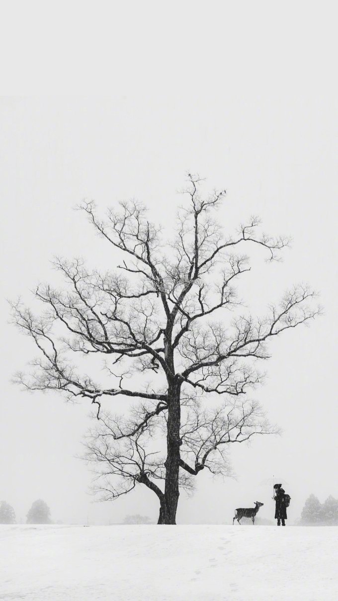 200张精选手机壁纸大放送！教你去哪找超赞壁纸~（多图慎入！）