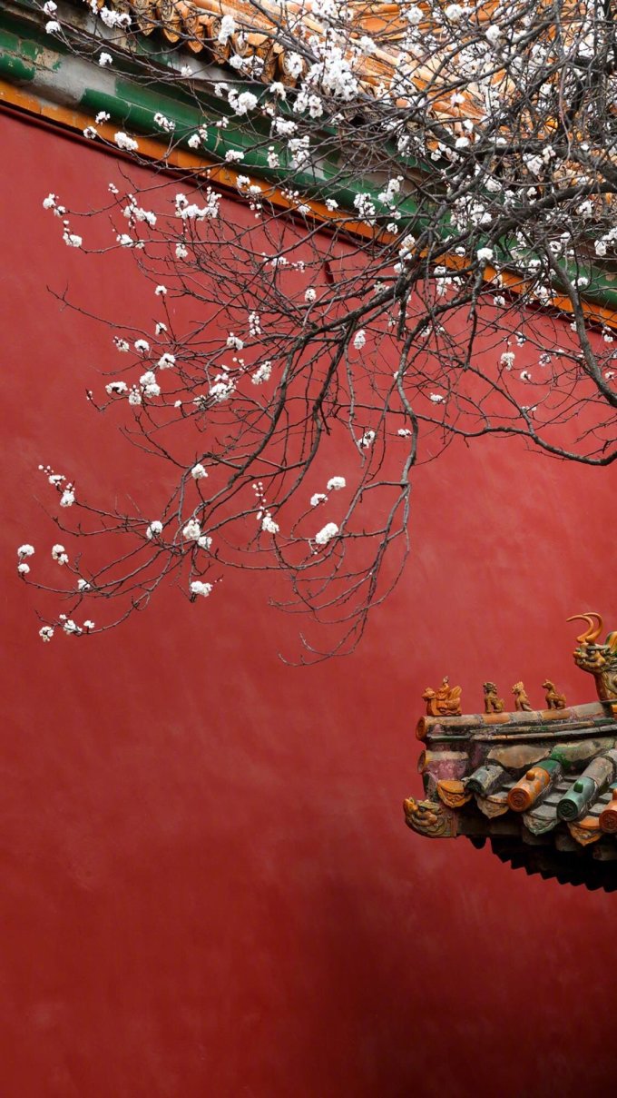 200张精选手机壁纸大放送！教你去哪找超赞壁纸~（多图慎入！）