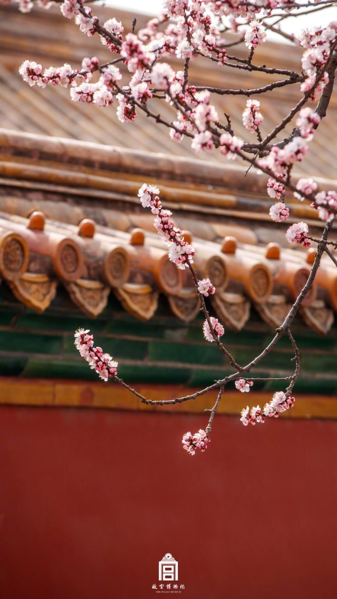 200张精选手机壁纸大放送！教你去哪找超赞壁纸~（多图慎入！）