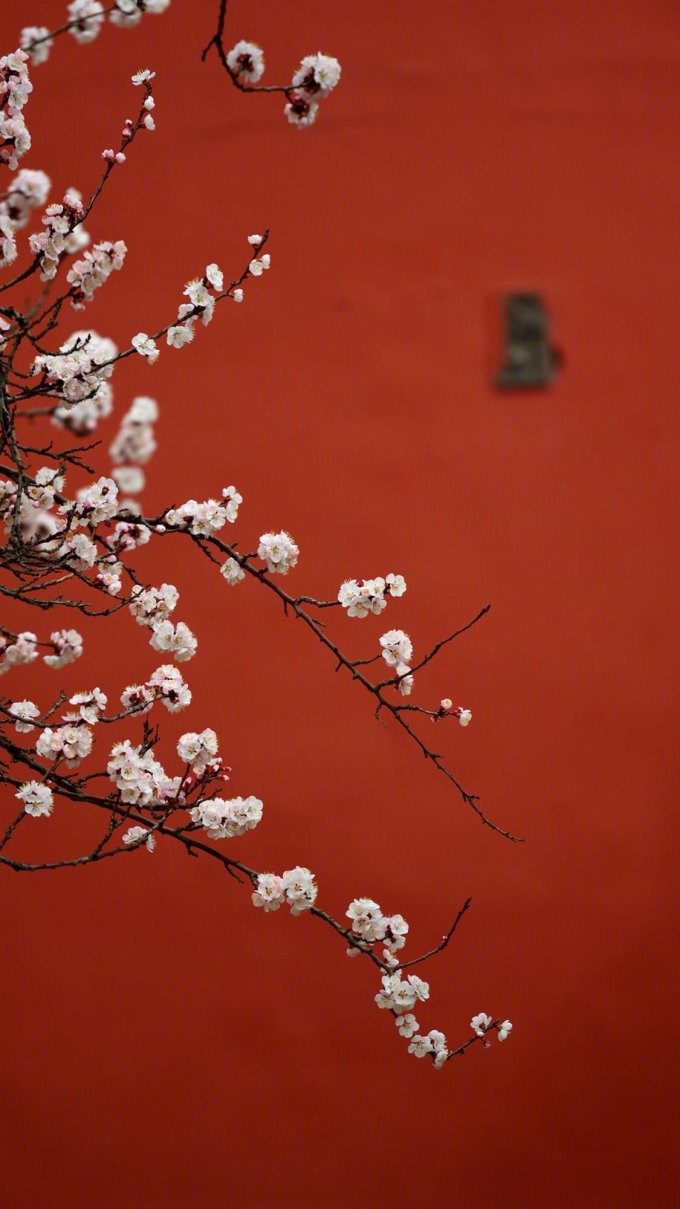 200张精选手机壁纸大放送！教你去哪找超赞壁纸~（多图慎入！）