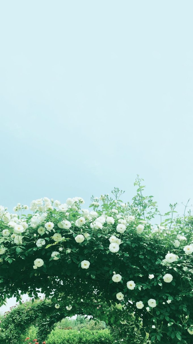 200张精选手机壁纸大放送！教你去哪找超赞壁纸~（多图慎入！）