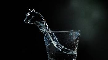 汉毛克的摄影日志 篇八：开局一杯水，结尾一张图，中间能玩一下午--论一杯水怎么拍 