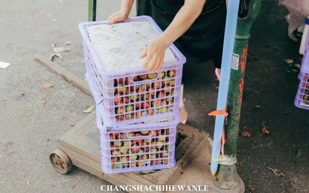 走遍长沙水果批发市场！最便宜的水果，原来都在这！