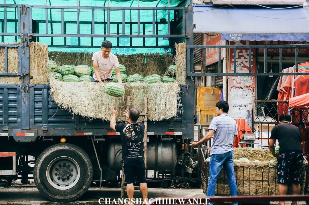 走遍长沙水果批发市场！最便宜的水果，原来都在这！