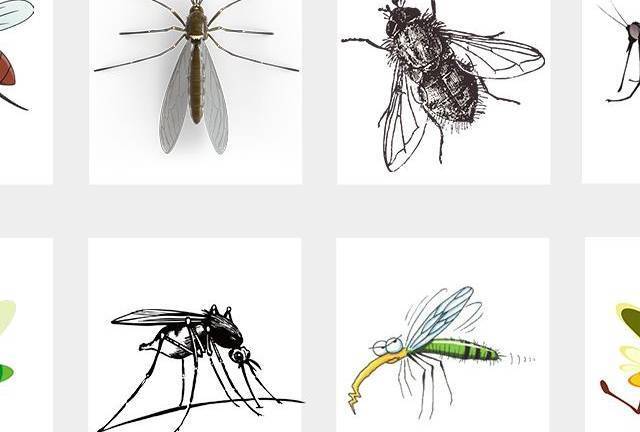 灭蚊灯到底是个什么鬼？我用14只蚊子告诉你答案！！买灭蚊灯，看这一篇就够了！！！