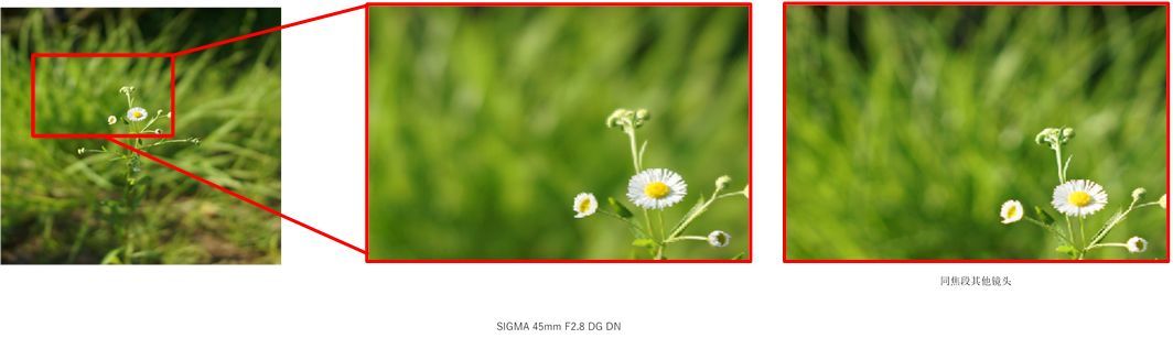 紧凑提体积出色画质：SIGMA 适马发布45mm F2.8 DG DN全画幅定焦镜头