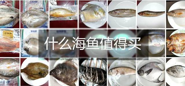 42种京东自营海鱼评测 黄鱼有多少品种 什么值得买