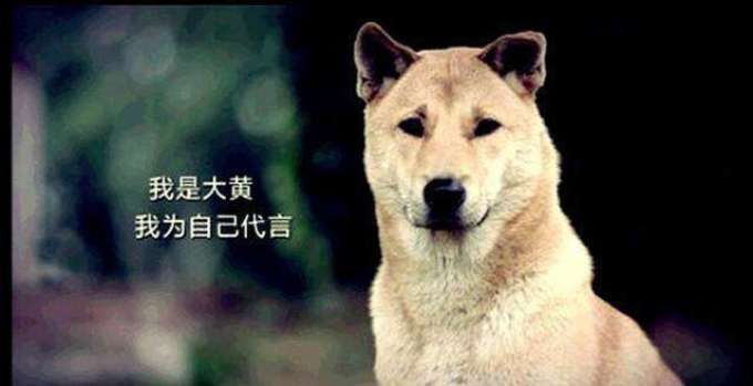 小编做土豪的一天,你想都不敢想
