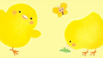 哄娃神器系列 篇二：好看又好玩的童书-小鸡球球触感玩具书5册体验分享 