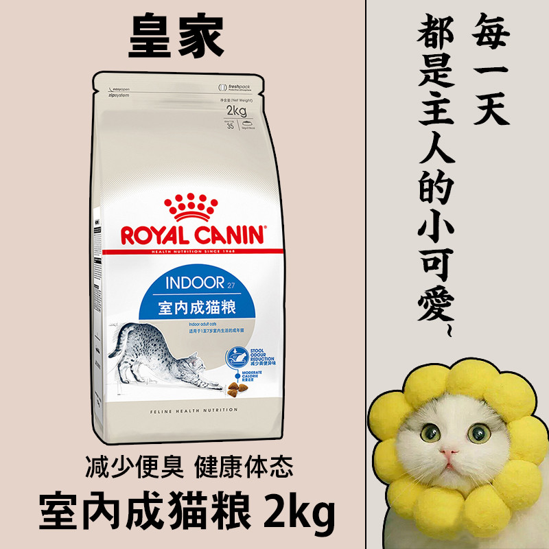 猫肥胖是你的错，不是你的猫