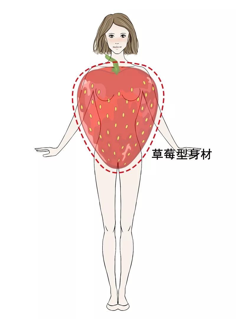 而草莓型身材的肩背部是身体最胖的部位,而后向下延伸,越来越瘦.