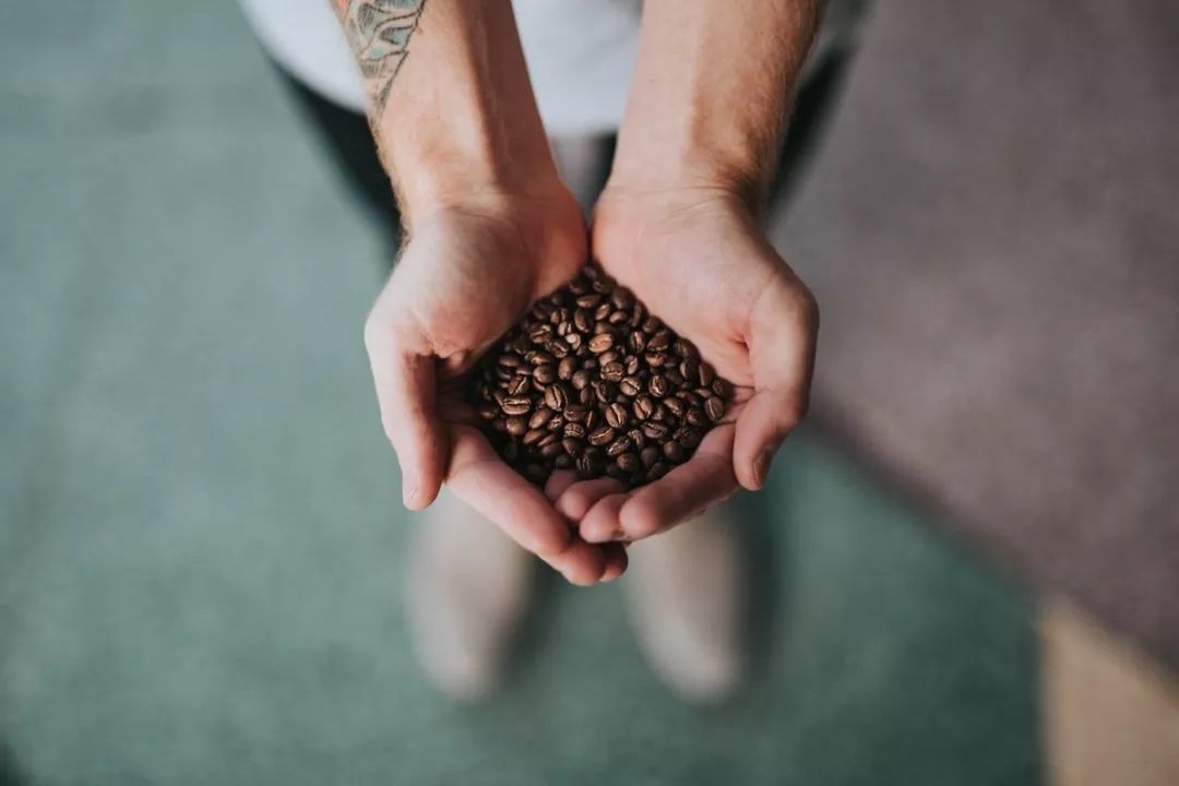 新手入门，如何挑选咖啡豆？学会这4个选购技巧，找到适合你的咖啡豆！
