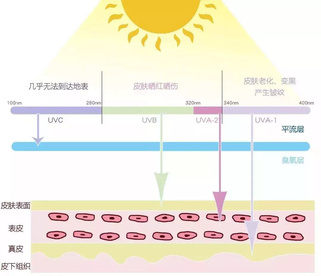 夏天已经过半了，还有人不涂防晒？ | 美妆盘点