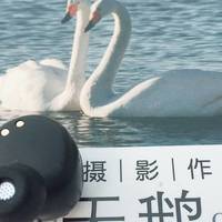 南卡N2耳机与你的距离不过是音乐与心灵的距离