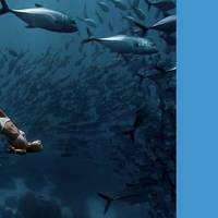 旅行 篇一百四十九：解锁海岛旅行新玩法：考一张潜水执照，探索地球70%的美