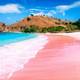 世界上有那么多的粉红色，你见过粉红色的海滩吗？