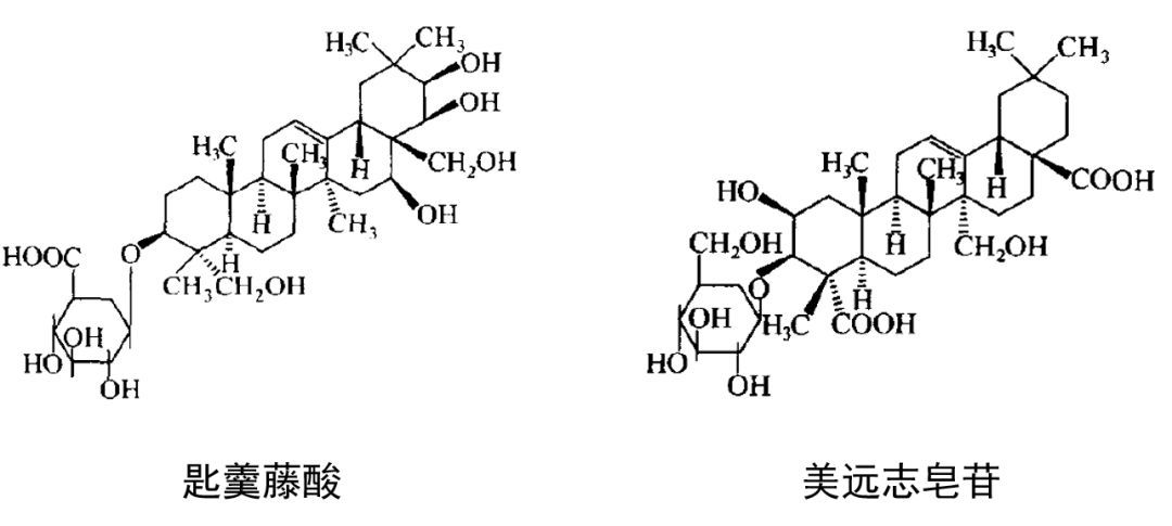 Happy科普｜“天然成分”密码之——皂苷