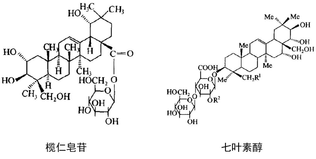 Happy科普｜“天然成分”密码之——皂苷