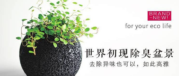 小小盆栽 让你享受室内好空气 盆栽 什么值得买