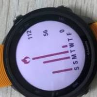 跑者必备的可穿戴智能手表—佳明Forerunner245