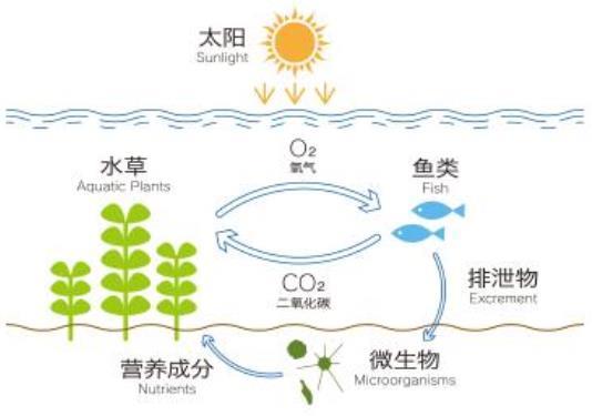 在家也能享受的别致景观 看看强大的造景术吧