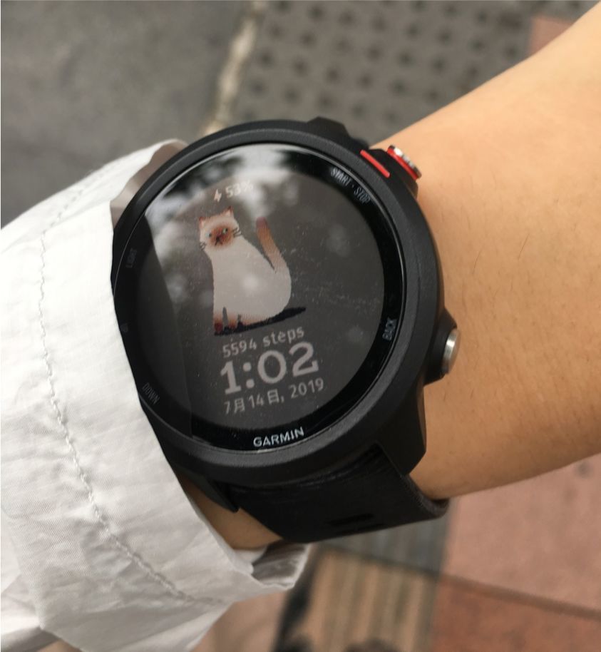 花半小时就决定买下这款 ¥2480 的手表，说说我的使用体验