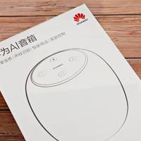 由奢入俭难——华为AI音箱入手记