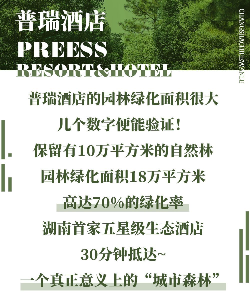 30分钟抵达！近在咫尺的度假圣地，长沙竟藏着这样绝美的“城市森林”~