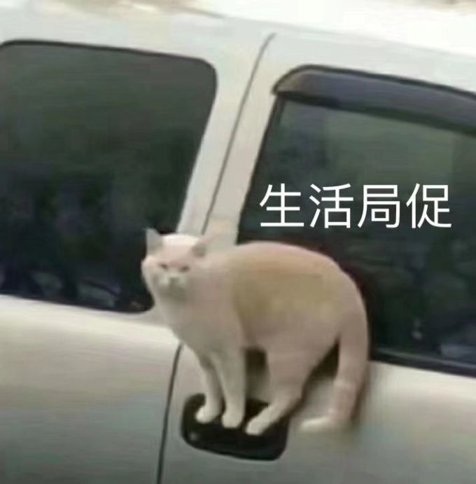 姑姑分享|POLA去皱精华和黑BA眼霜两个月使用测评