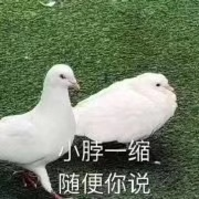 姑姑分享|POLA去皱精华和黑BA眼霜两个月使用测评