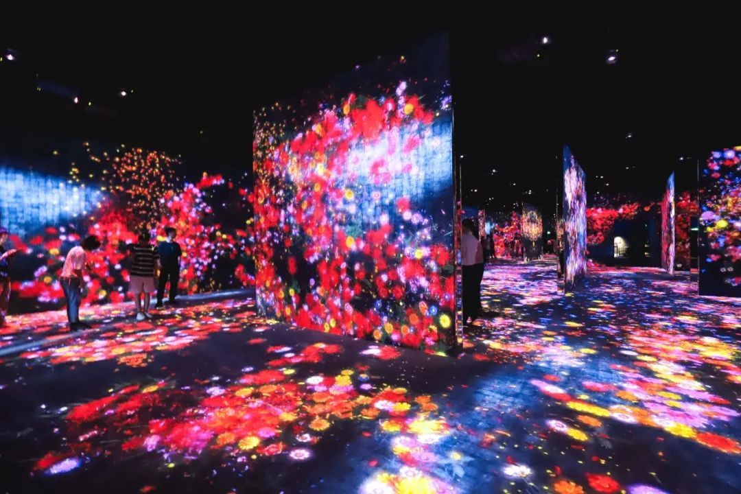 二刷teamLab | 限时特惠，打卡世界级必看的艺术展