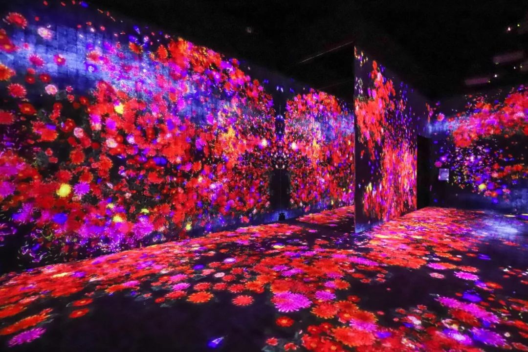 二刷teamLab | 限时特惠，打卡世界级必看的艺术展