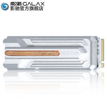 影驰名人堂HOF PCIe M.2 2280 512G SSD固态硬盘 仿佛F1飙车