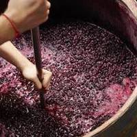 柏觅红酒干红葡萄酒的生产工艺