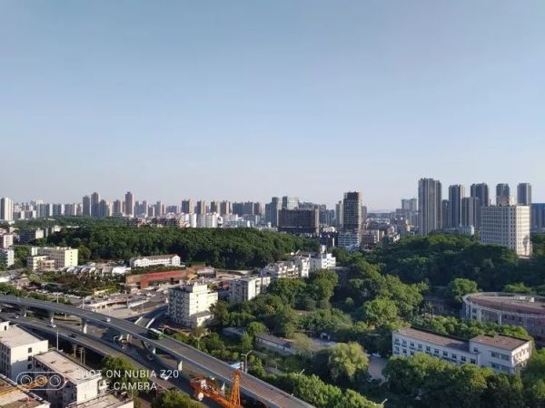 努比亚Z20评测,西装暴徒也爱自拍