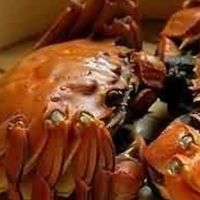 网购大闸蟹实用指南，电商上10款值得购买的闸蟹品牌，中秋选蟹看这一篇就够了~